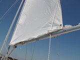 Photo - mainsail